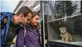  ??  ?? People look at a puppy presented in a showcase on a Vetbus for adaption.