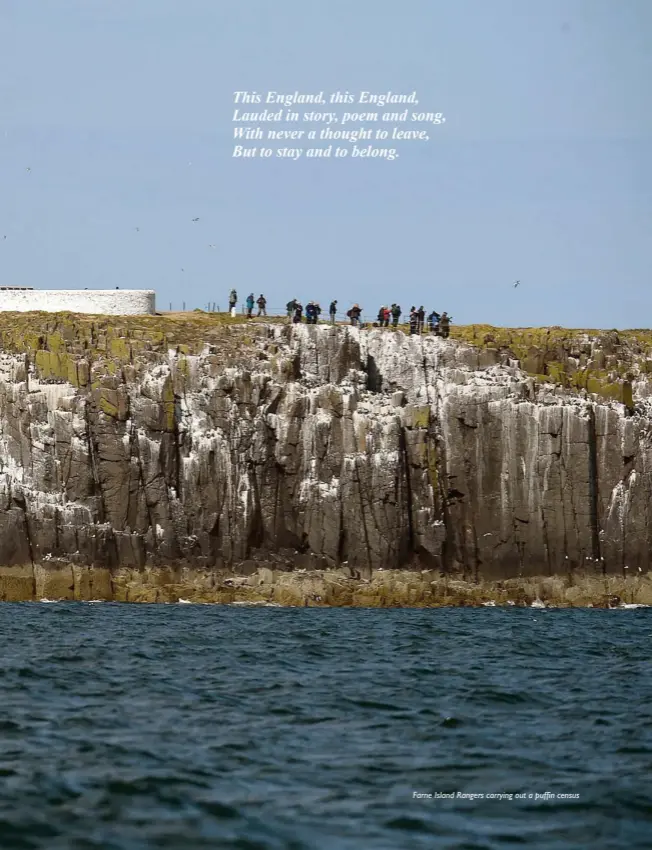  ??  ?? Farne Island Rangers carrying out a puffin census