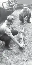  ??  ?? SFC personnel measuring the captured crocodile.