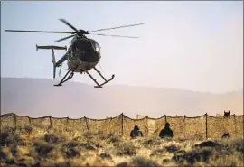  ?? Kent Nishimura Los Angeles Times ?? A HELICOPTER helps gather wild horses into the Devil’s Garden area of Modoc National Forest. The roundup effort has spawned complaints and lawsuits.