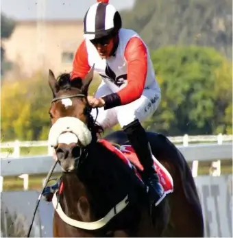  ?? Picture: JC Photograph­ics ?? BANKER. Homely Girl looks hard to oppose in Sunday’s Listed Syringa Handicap over 1600m on the Turffontei­n Inside track.