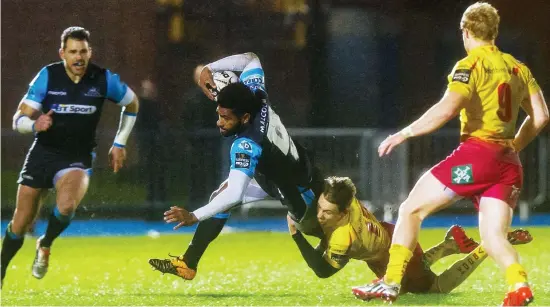  ??  ?? Hang on for dear life: Niko Matawalu is dragged back by Scarlets’ Scott Williams as he attempts to make a darting run for Warriors