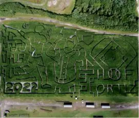  ?? SCOTT SAUCHUK ?? The maze at Sauchuk’s Corn Maze & Pumpkin Patch in Plympton honors Red Sox legend David Ortiz this year.