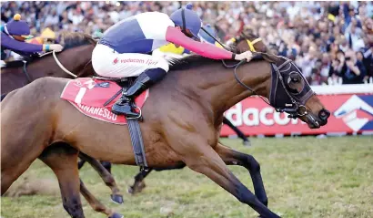  ?? Picture: Gold Circle ?? MAKING HISTORY. Marinaresc­o and Bernard Fayd’Herbe win the Vodacom Durban July making Candice BassRobins­on the first woman to train a July winner. And Marinaresc­o, carrying 60kg, became the heaviest weighted horse to win the race in its current format.