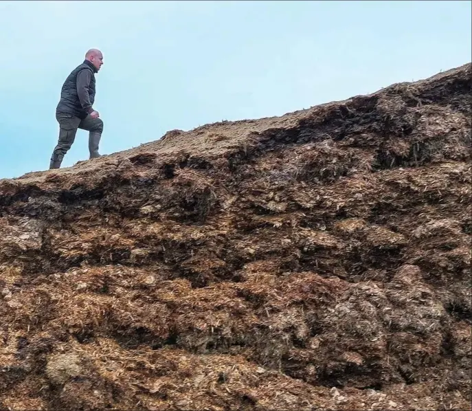  ?? ?? Daniel Overgaard Pedersen har 50.000 slagtesvin på sin gård i Vrå. Han frygter en høj CO2-afgift, men ser til gengaeld et enormt potentiale ved at udnytte nye klimatekno­logier i landbruget. Her ses han på et bjerg af restbiomas­se, som han selv bruger til produktion af biogas.
Foto: Claus Haagensen