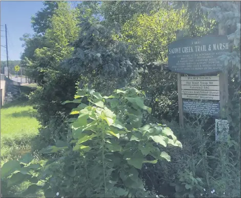  ?? LISA SCHEID — MEDIANEWS GROUP ?? The entrance to Saucony Creek and Marsh area near Kutztown Elementary School where the author and her son tested the Berks Nature scavenger hunt app.