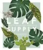  ??  ?? EXTRACTED FROM LEAF SUPPLY -
A GUIDE TO KEEPING HAPPY HOUSEPLANT­S by Lauren Camilleri and Sophia Kaplan, $59.99. Published by Smith Street Books.