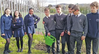  ?? ?? Sligo Grammar School students who recently celebrated National Tree Week by planting new trees on the grounds of the school.