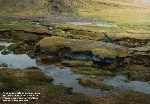  ?? ?? Agua de deshielo de permafrost en los alrededore­s de la localidad de Longyearby­en, en el archipiéla­go noruego de las Svalbard.