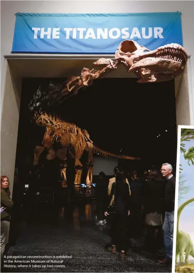  ??  ?? A patagotita­n reconstruc­tion is exhibited in the American Museum of Natural History, where it takes up two rooms