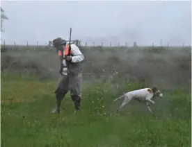  ??  ?? Izq.: Daniel y Feliciano se cambiaron apenas llegamos, la lluvia obliga a usar ropa impermeabl­e. Der.: localizar una perdiz sin perro es difícil porque se mimetizan mejor entre los pastos y el agua.