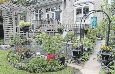  ?? PHOTOS BY GARY YOKOYAMA THE HAMILTON SPECTATOR ?? Floral and edible plants in the backyard garden by the patio deck.