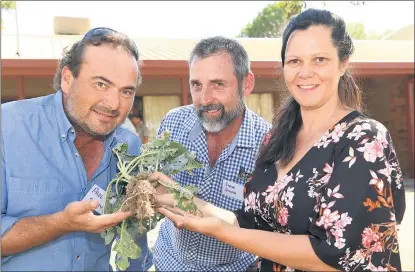  ??  ?? HOW IT WORKS: From left, Victorian No-till Farmers Associatio­n members Paul Oxbrow of Rupanyup and Steve Stone, Woodstock, are pictured with agricultur­al ecologist Nicole Masters at a workshop in Horsham. Picture: PAUL CARRACHER