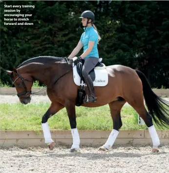  ??  ?? Start every training session by encouragin­g your horse to stretch forward and down