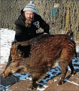  ??  ?? Waldemar Soff versteht nicht, warum das Wildschwei­n nicht bei ihm in Ilfeld bleiben darf. Foto: Kristin Müller