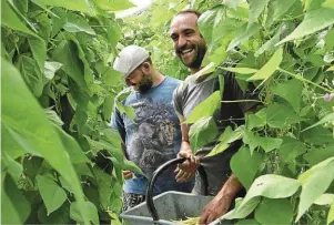  ?? | PHOTO : CÉDRIC FAIMALI ?? Édouard Bergeon (à droite), en visite chez Pascal Godon, maraîcher à Cosne-surLoire, dans la Nièvre.