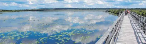  ?? FOTO: SVEN JESSBERGER ?? Blick auf den Federsee, Kern des schon vor 85 Jahren ausgewiese­nen Naturschut­zgebietes.