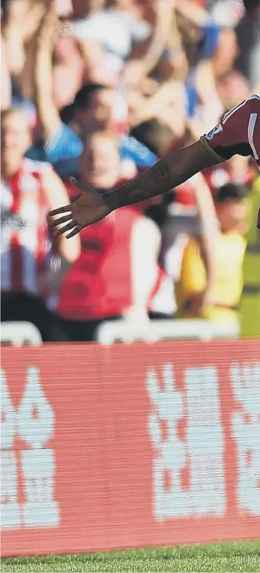  ??  ?? Jermain Defoe celebrates scoring against Newcastle.