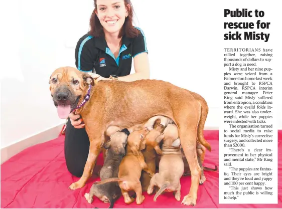  ?? Picture: CHE CHORLEY ?? RSPCA shelter supervisor Taylah Somerville with Misty and her nine puppies