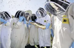  ??  ?? Migration Pupils see the bees settle into their new home