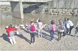  ?? ?? Alumnos del colegio Tierno Galván durante su visita al río Guadalete.