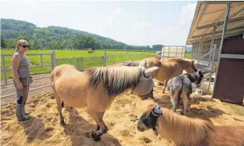  ?? FOTO: THOMAS FREY/DPA ?? Die Biologin Nina Kniel kümmert sich in Rheinland-pfalz um die Ponys, die in einem gemeinnütz­ig betriebene­n Teich- und Tiergehege in Sinzig gelebt hatten, das vom Hochwasser völlig zerstört wurde. Fast alle 150 Tiere konnten rechtzeiti­g in Sicherheit gebracht werden.