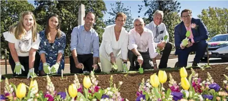  ?? Photos: Kevin Farmer ?? NEW TRADITION: Planting the first seedlings of Carnival of Flowers 2018 are (from left) The Chronicle marketing manager Stacey Hixon, Grand Central marketing manager Marieke Bridgeman, Energy Queensland Darling Downs area manager Matt Pearson, Southern...