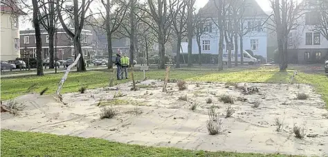  ?? BILD: STADT OLDENBURG ?? Wie eine Dünenlands­chaft im Kleinforma­t: Die Modell-Fläche befindet sich auf dem Theodor-Tantzen-Platz.