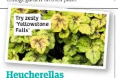  ??  ?? Try zesty 'Yellowston­e Falls'