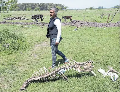  ?? Patricio PIDAL ?? Vilma Enríquez recuperó su campo, pero perdió gran parte de su ganado