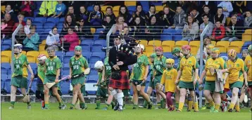  ??  ?? The teams parade ahead of the start of the Senior camogie final in Aughrim.