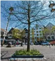  ?? Foto: Häusler ?? Ob’s hilft? Solche Baumumrand­ungen in der Sendener Innenstadt sollen künftig bunt angemalt werden.