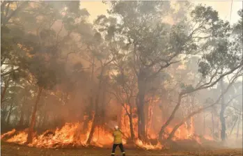  ??  ?? De australske brandfolk står over for en naermest umulig opgave i kampen mod de mere end 120 naturbrand­e i delstaten New South Wales. Foto: Saeed Khan/AFP