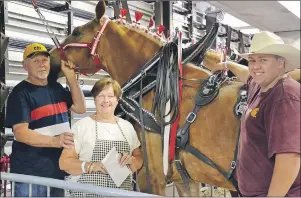  ?? ELIZABETH PATTERSON/CAPE BRETON POST ?? George Peters, wife Sheila Peters and their son Tyler Peters are shown around Rob the Belgian at the Sydney Horse Expo at Centre 200 on Saturday. The Peters family of Mira Road have been involved with heavy horses for five generation­s. At a mere 1,800...
