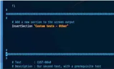  ??  ?? Figure 2: Custom tests section of Lynis tools