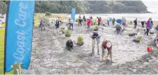  ?? PHOTO: BoPRC. ?? Volunteers help plant native sand dune plants at Waihī Beach earlier this year.