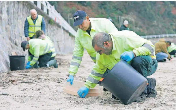  ?? FOTO: JORGE PETEIRO/DPA ?? In Muros de Nalón in der Region Asturien sammeln Helfer die winzigen Plastikkug­eln am Strand von Aguilar.