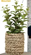  ??  ?? Plante artificiel­le dans un pot en rotin, 9 po de haut, 16,99 $, Bouclair