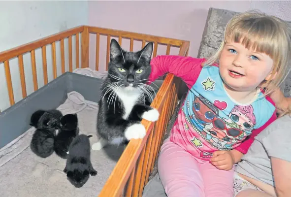  ??  ?? Pebbles the cat recovering from her ordeal with her four kittens alongside Jennifer Mcartney’s young daughter.