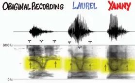  ??  ?? The viral audio clip of a robot where some people hear ‘ Yanny’ and other people hear ‘ Laurel’ has taken internet by storm and is akin to the picture of the dress that created much confusion and intrigue online.