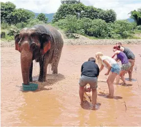  ??  ?? Washing up: Tourists at Elephant Nature Park near Chiang Mai bathe an elephant with water – a daily ritual at the park.