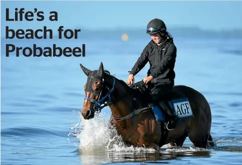  ?? GETTY IMAGES ?? Probabeel takes it easy at the beach this week while preparing for today’s Cox Plate in Melbourne.