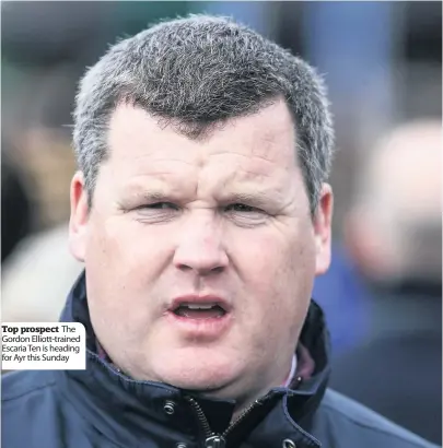  ??  ?? Top prospect The Gordon Elliott- trained Escaria Ten is heading for Ayr this Sunday