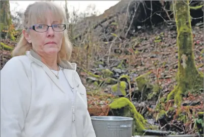  ??  ?? The flooding at Lorna McCullock’s property is so severe she cannot find anyone to insure her home contents.