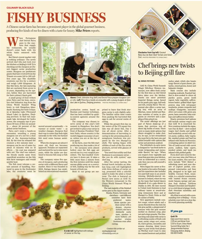  ?? PHOTOS PROVIDED TO CHINA DAILY PHOTOS PROVIDED TO CHINA DAILY ?? Above: Chefs Johnston Ang (left) and Deivid Paiva prepare sturgeon caviar rolls. Left: Paiva has a hands-on encounter with a young sturgeon at Qiandao Lake in Quzhou, Zhejiang province. A crab roll highlighte­d with dollops of caviar on the top....