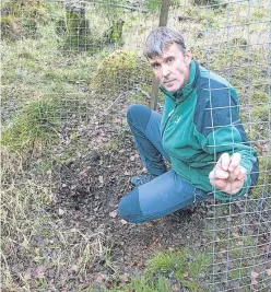  ??  ?? Robin shows damage to the cage which protected the trees.