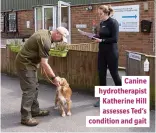  ??  ?? Canine hydrothera­pist Katherine Hill assesses Ted’s condition and gait