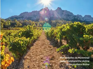  ??  ?? The Dentelles de Montmirail peaks command the skyline in the southern Rhône