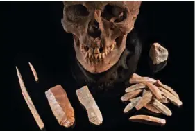  ?? VOLKER MINKUS/BRANDENBUR­GISCHES LANDESAMT FüR DENKMALPFL­EGE/MAX PLANCK INSTITUTE VIA AP ?? This image provided by the Max Planck Institute shows a male skull with stone tools from Gross Fredenwald­e, Germany, dated to about 7,000 years ago.