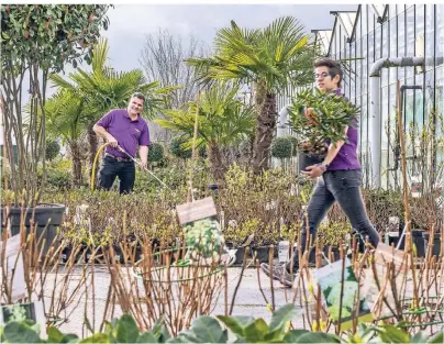  ??  ?? Das Plantencen­trum Velden bleibt weiterhin für seine Kunden für einen sicheren Einkauf geöffnet. Gartenfreu­nde finden Pflanzen für jede Gelegenhei­t – ganz egal, ob sie etwas für Haus, Garten, Gemüse-, Obst- oder Kräuterbee­t, Teich, Balkon oder Terrasse suchen.